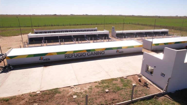 La obra del Nuevo Refugio Canino avanza hacia su fase final