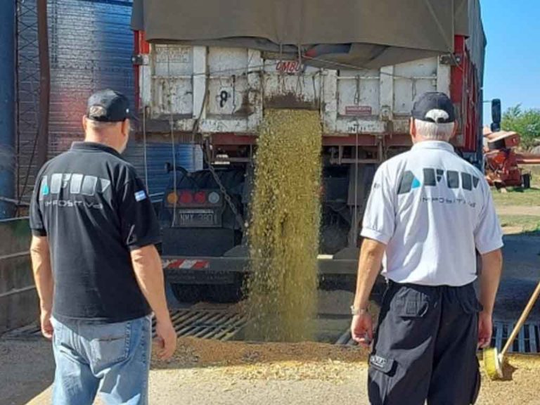 Incautan 94 toneladas de maíz y soja en La Pampa y Córdoba por irregularidades en su transporte