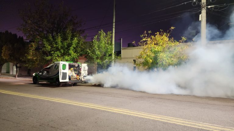 Dengue en General Pico: Casos confirmados impulsan fumigaciones y trabajan por un caso de rabia en murciélago