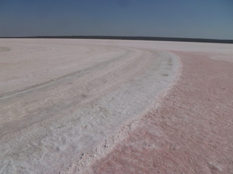 Litio en La Pampa: Un hallazgo de importancia que invita a continuar investigando