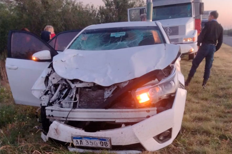 Accidente en la Ruta Nacional 35: vehículo choca con ciervo sin dejar personas heridas