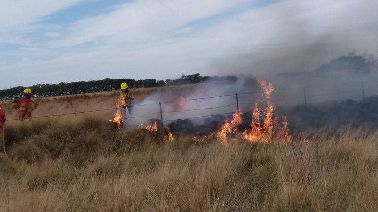 Bomberos sofocaron un incendio a la vera de la Ruta 101, pasando Speluzzi