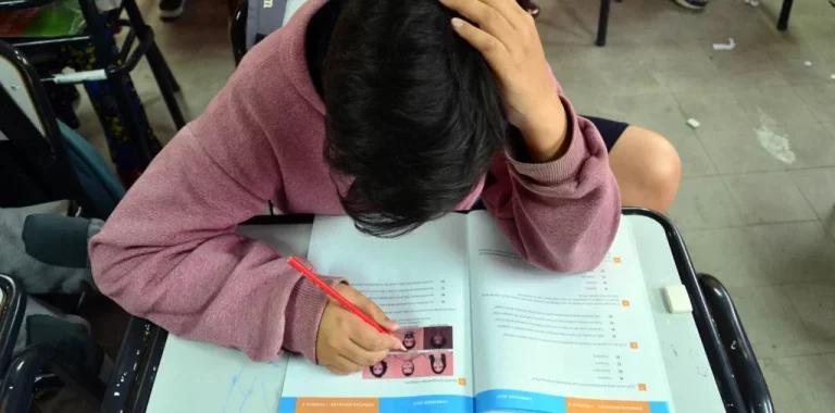 6 de cada 10 alumnos vulnerables no alcanzan el nivel mínimo de lectura en primaria