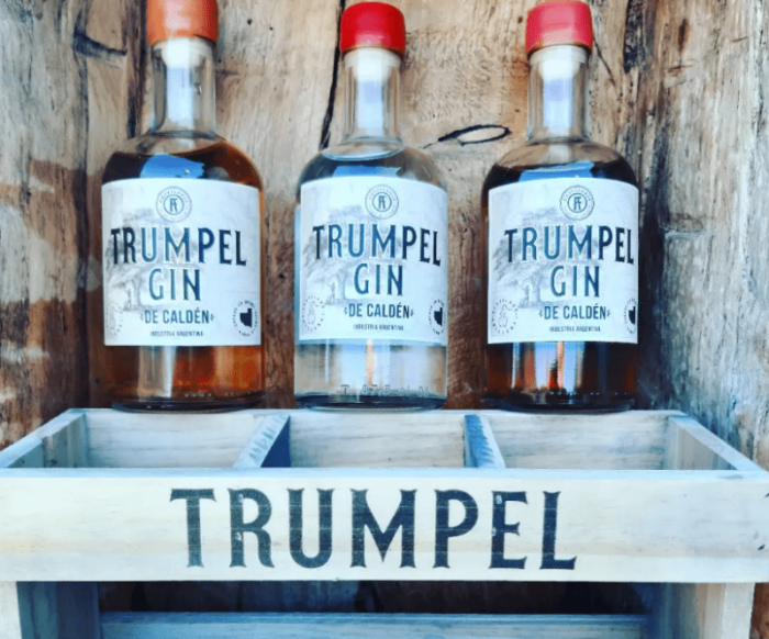 El Gin “Trumpel”, hecho en Quemú Quemú, ganó la máxima distinción en un concurso en Londres