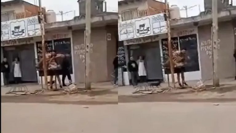 Persiguió a un ladrón que le robó la bicicleta, lo golpeó ferozmente y lo metió en un cesto de basura de José C. Paz