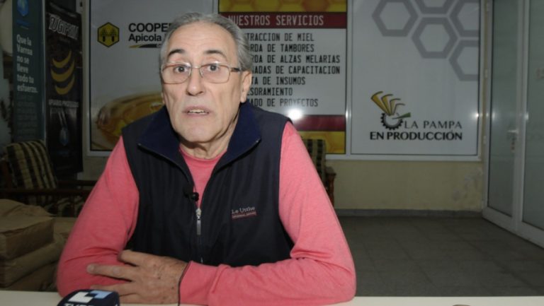 El sector apícola tuvo su peor cosecha de los últimos 15 años: “Solo cubrimos los gastos”
