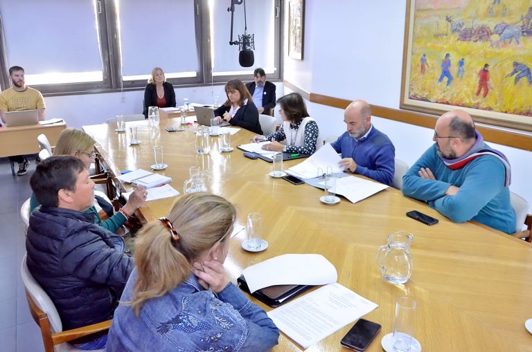 Diputados tratan en comisión proyecto que fomenta la promoción y conservación del arbolado
