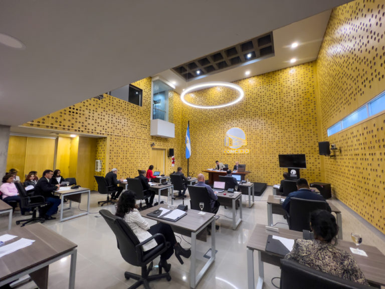 El Concejo Deliberante gestionó más de 1273 normativas aprobadas, incluyendo 593 ordenanzas