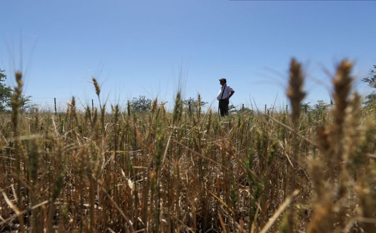Anunciaron una línea de créditos por $ 300 millones para el sector productivo