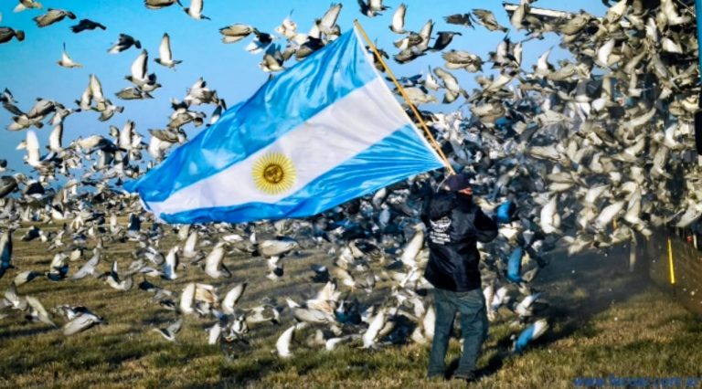 Se despliegan las alas: arranca el campeonato de asociación colombófila General Pico