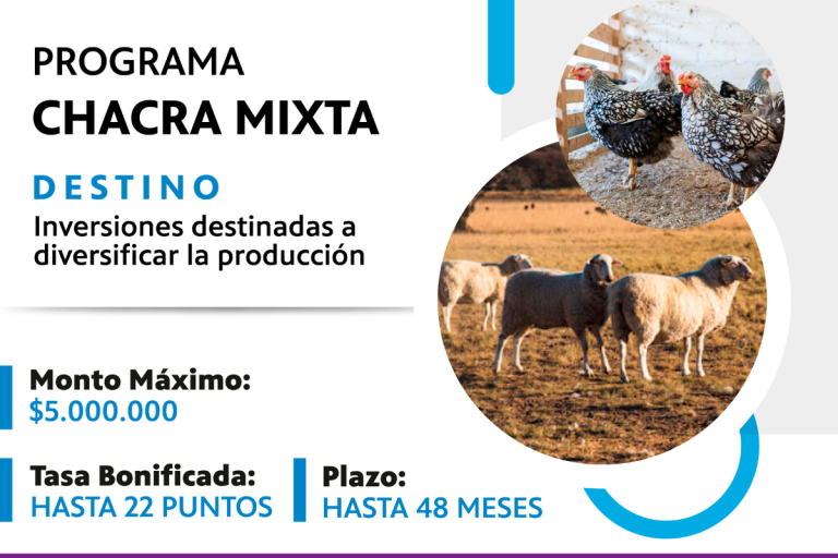 “Chacra Mixta”: Aumentaron los montos de créditos hasta los $5 millones