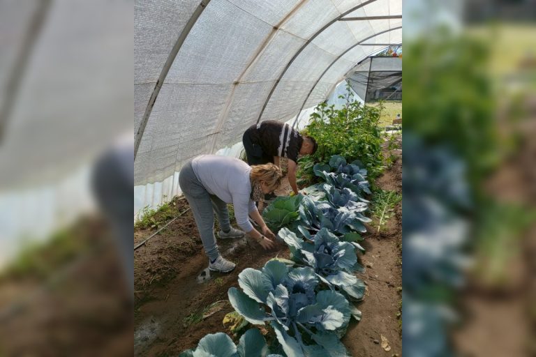 El Colegio Amela es el único con orientación agraria en General Pico y los alumnos culminan con un certificado en formación profesional