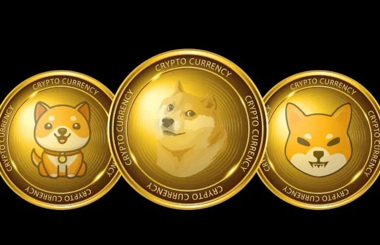 ¿Es posible ganar mucho dinero con los meme coins?