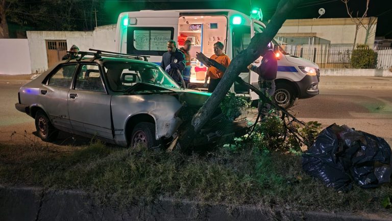 Un hombre chocó con su auto contra una planta en calle 21 y fue hospitalizado