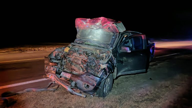Impactante choque de una camioneta S10 y un novillo de 350 kilos en la Ruta Nacional 188