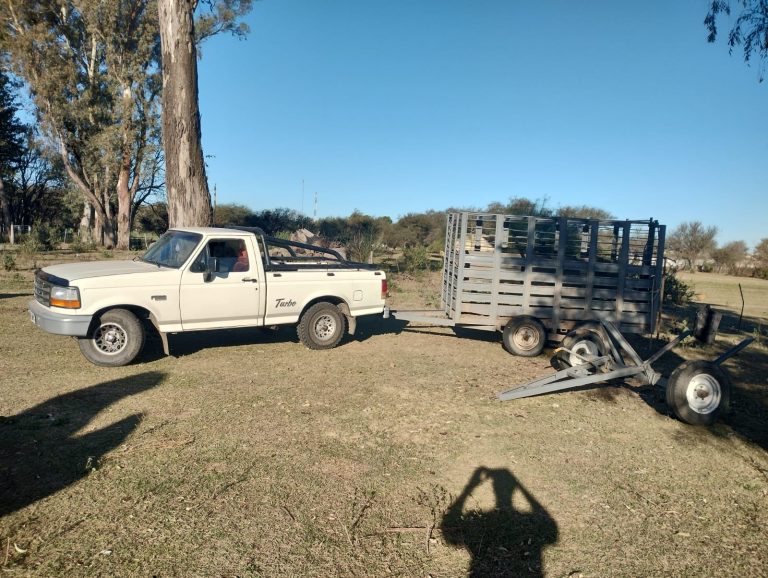 Tres detenidos por el robo de 20 animales en un establecimiento rural de Rancul