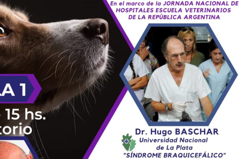 Director del Hospital Escuela de la Facultad Veterinaria de La Plata, Hugo Baschar, resaltó la importancia del trabajo en equipo entre hospitales-escuelas de todo el país