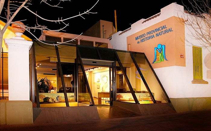 Renovación del Museo de Historia Natural: Un espacio para reencuentros y descubrimiento
