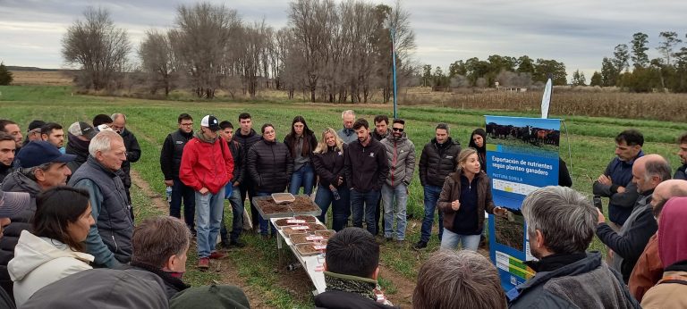 Más de 400 personas participaron de la Jornada por el Día de la Conservación del Suelo