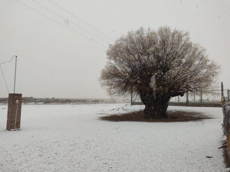 Manto blanco en Chos Malal: una pintura invernal en el oeste pampeano
