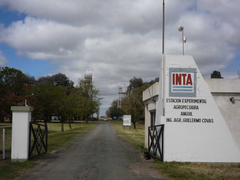 El INTA Anguil y Victorica están ofreciendo dos becas de investigación profesional