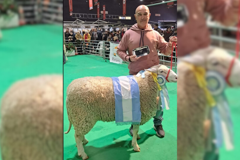 “Ventarrón”: ejemplar de Pampinta se llevó un premio mayor en Palermo