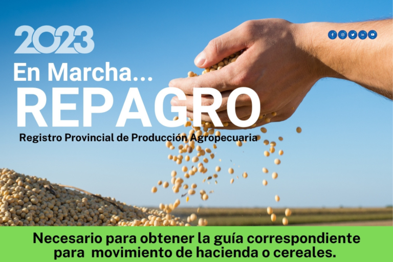 Comenzó REPAGRO 2023: Los productores agropecuarios ya pueden presentar su Declaración Jurada