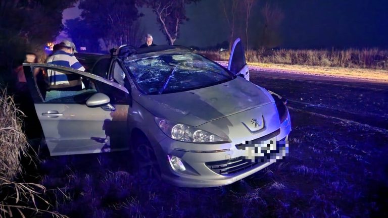 Un vecino de Intendente Alvear volcó tras chocar un perro frente al Parque Apícola