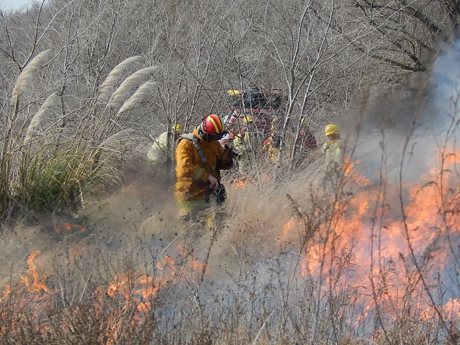 Durante el 2023 se registraron 124 focos de incendios, afectando 83,933.2 hectáreas de territorio pampeano