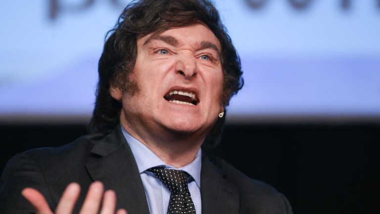 Javier Milei: del enojo televisivo al desafío electoral