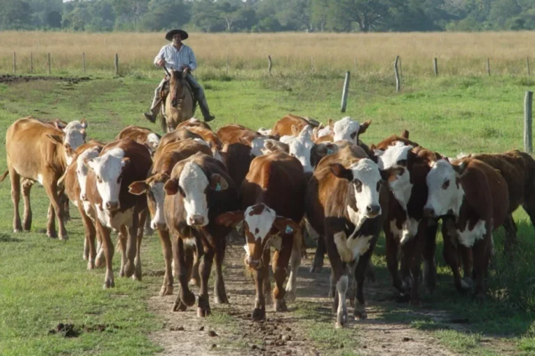 La UATRE cerró un nuevo aumento del 26% para trabajadores rurales
