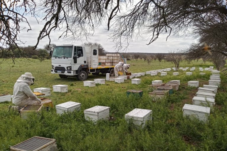 Apicultores reciben fondos del Programa de Fortalecimiento Productivo