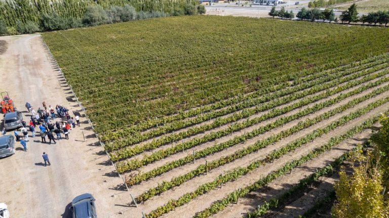 Casa de Piedra: comienza la obra de “Toma e Impulsión de agua” para ampliar la superficie bajo riego