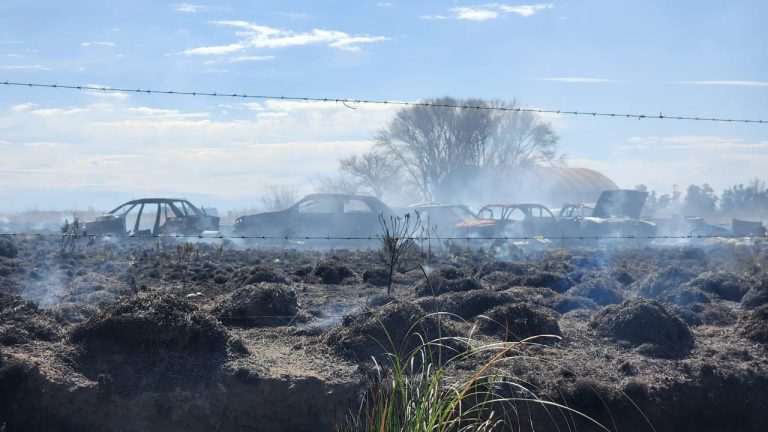 Ocho autos se quemaron en un incendio en el acceso de Trebolares