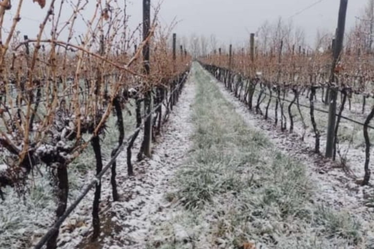 También nevó en Casa de Piedra y el pronóstico de nevadas se extenderá hasta el lunes