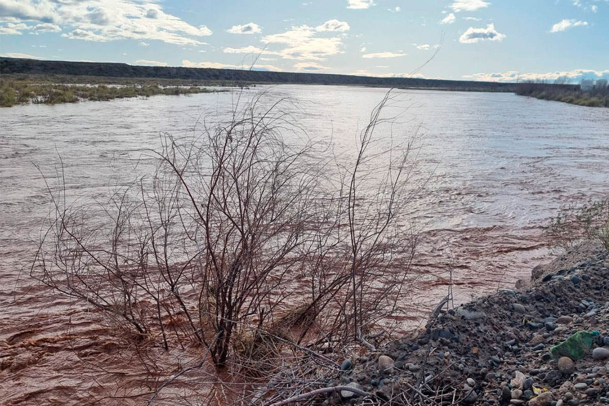 Río Colorado: “estamos en el pico la crecida”, dijo Juan Greco ...