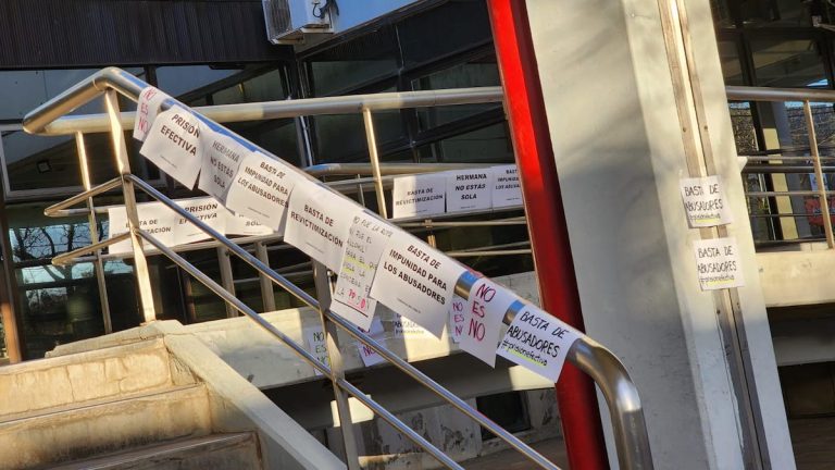Agrupaciones feministas se manifestaron en tribunales piquenses por la reedición del juicio contra un joven por abuso sexual