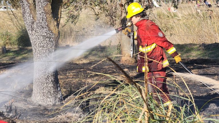 Por un “asadito”: tres móviles de bomberos trabajaron para apagar un incendio en la laguna