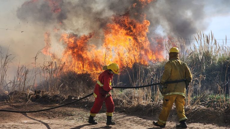 Bomberos y Policía trabajaron en un incendio de pastizales en la Ruta Provincial 102