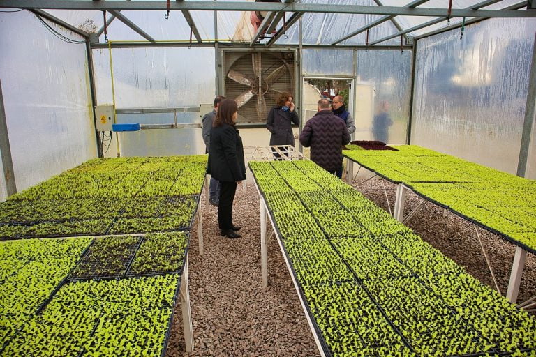 El CERET sigue avanzando en nuevos desarrollos productivos