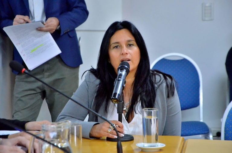 Dictamen por mayoría en Diputados para la designación de María Gabriela Pregno al frente de la Defensoría Adjunta en lo Civil