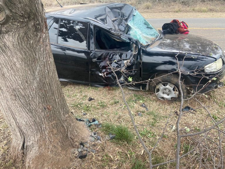 Una mujer colisionó con su auto contra árbol en el intento por esquivar un animal en la ruta 2, cerca de Embajador Martini