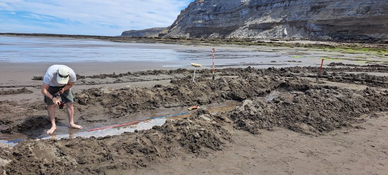 Investigadores de la Universidad Nacional de La Pampa analizan huellas de un ave fosil gigante