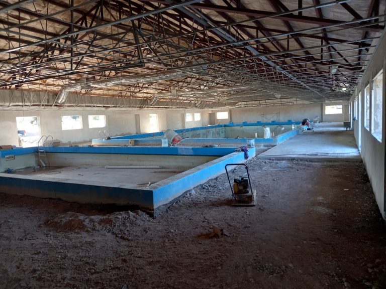 Realizan tareas de renovación en el natatorio de Casa de Piedra