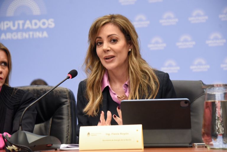 ROYON SOSTUVO QUE EL PROYECTO DE GAS NATURAL LICUADO “CAMBIARÍA LA REALIDAD PRODUCTIVA Y ECONÓMICA DE ARGENTINA