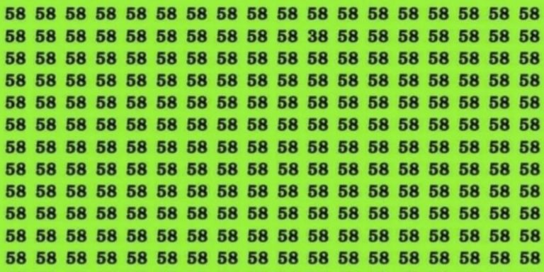 Sólo un GENIO con vista de halcón puede encontrar el número “38″ en un mar de “58″ en este reto visual