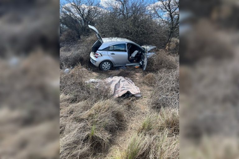 Tragedia en Ruta Provincial 14: Un muerto y tres heridos