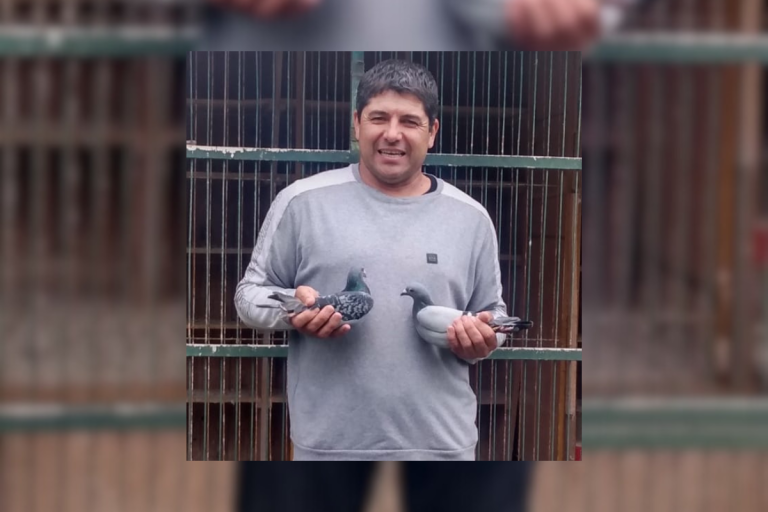 El palomar “Ases del Aire” dominó la sexta fecha desde Mocoretá, en Misiones, y desde Choele Choel, en Río Negro