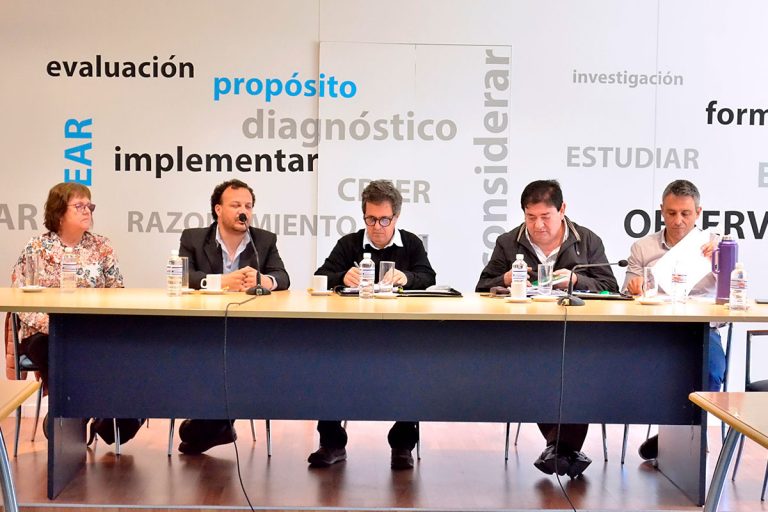 Nueva ley de discapacidad | “Se trata de sacar la mirada de protección y poner el foco en los derechos humanos” aseguró Poggio