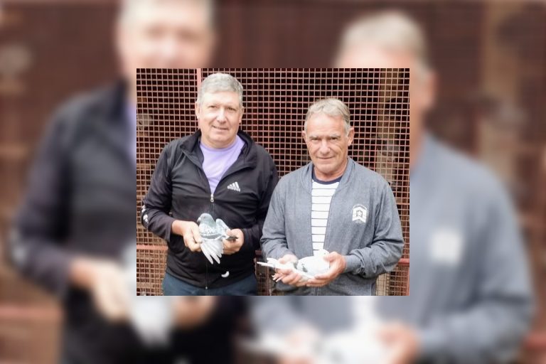 Colombofilia: “El Destino” se adjudicó el premio Federal